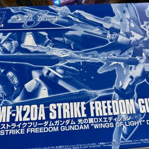 HG ストライクフリーダムガンダム 光の翼DXエディション ジャンク