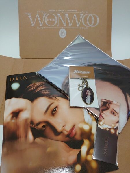 (WONWOO.ウォヌ) SEVENTEENの写真集とブックマークカードとポスター