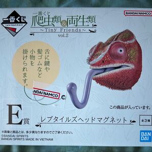 新品未開封 爬虫類 両生類 一番くじ