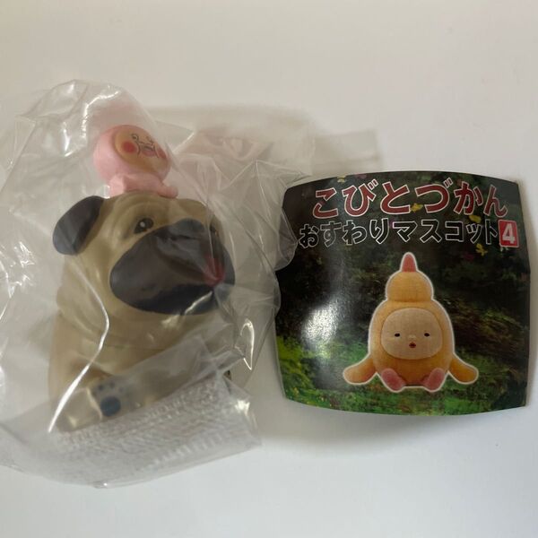 こびとづかん おすわりマスコット4 シークレット ガチャ カプセルトイ