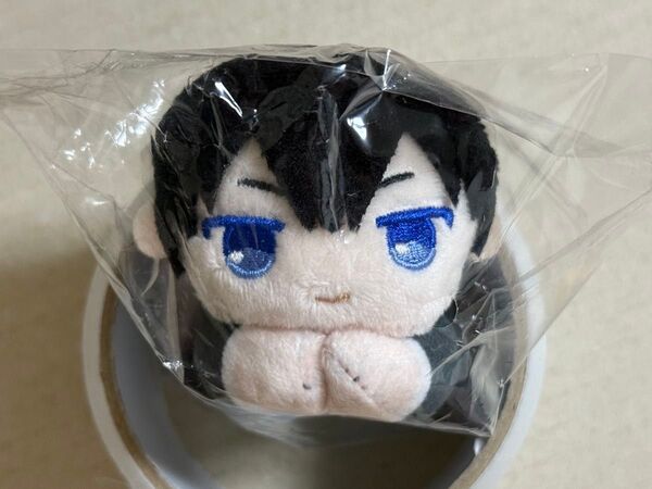 影山飛雄 制服 学ラン 学生服 BOX特典 ハイキュー はぐキャラコレクション ぬいぐるみ ボールチェーン マスコット