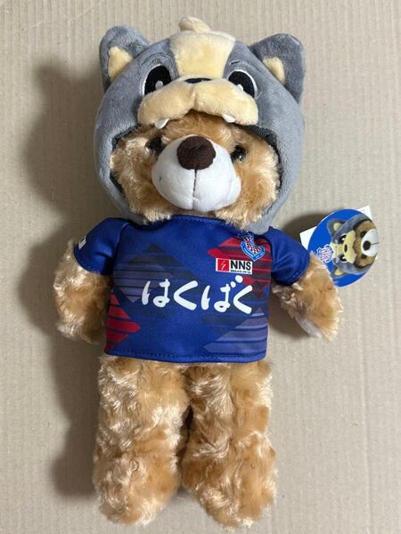 ご当地ベア ヴァンフォーレ甲府限定 ヴァンくんキャップベア 初期タイプ Sサイズ ぬいぐるみ 新品 タグ付き 山梨 はくばく