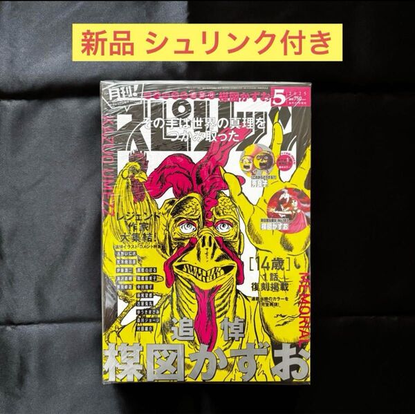 月刊!スピリッツ 2025年5月号 楳図かずお 追悼号 シュリンク付き
