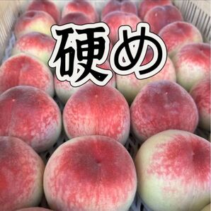 桃 硬め 山梨県産 訳あり 6〜8玉 2キロ箱入り