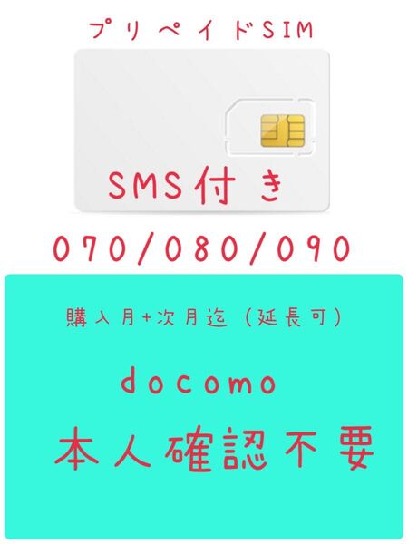 プリペイドSIM データ通信1GB/月 データ通信専用 SMS受信可能