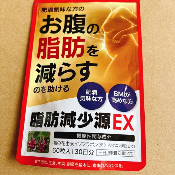 脂肪減少源EX 60粒 30日分
