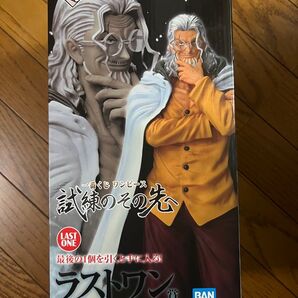 シルバーズ レイリー ラストワン賞 試練のその先へ