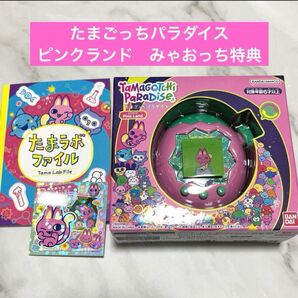 初回特典付き たまごっちパラダイス ピンクランド