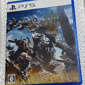 モンスターハンターワイルズ