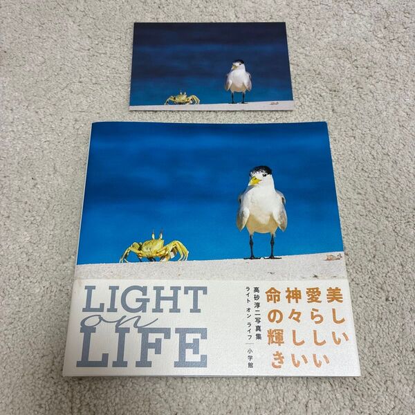 LIGHT on LIFE 高砂淳二/著 ポストカード付き