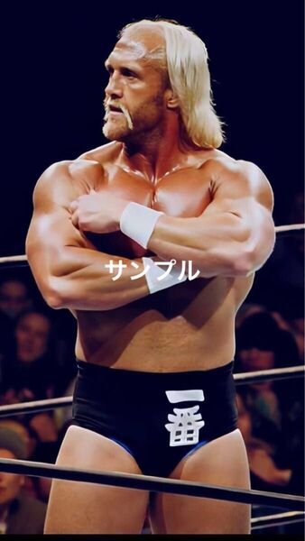 プロレス生写真 ハルクホーガン③ 8枚1組