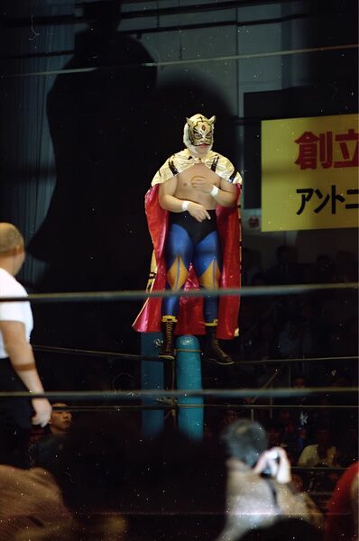 プロレス生写真 佐山タイガーマスク20枚1組