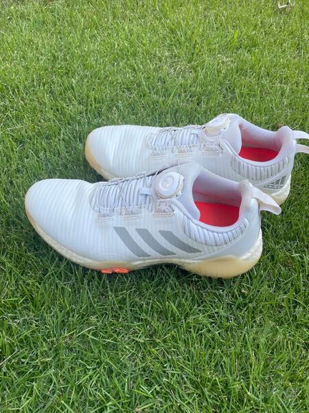 adidas コードカオスボアゴルフシューズ 26cm ホワイト系