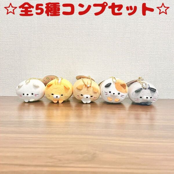 新品未使用 むぎゅぬい ころころらいふ ぷち にゃんこ 全5種セット 即日発送