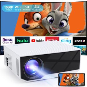 Bluetooth5.0搭載&5GWIFI 20000LM 1080PフルHD高輝度 300"大画面 小型 プロジェクター 家庭用