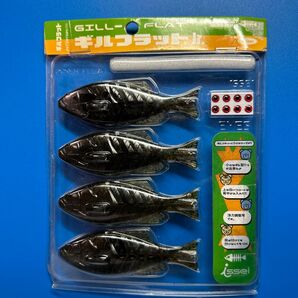 一誠 ギルフラットJr.