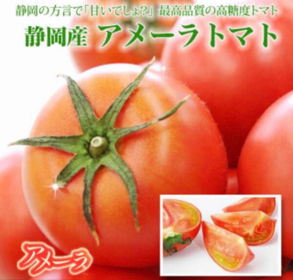 3ケース アメーラトマト 自信あります 高糖度 フルーツトマト