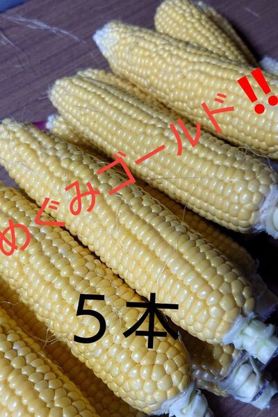 トウモロコシ めぐみゴールド5本