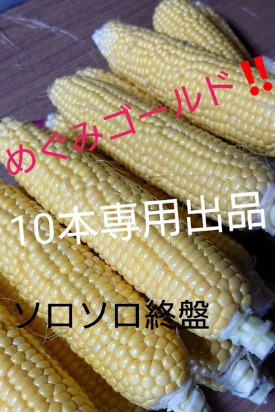 トウモロコシ めぐみゴールド10本