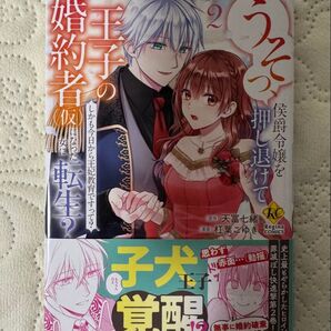 うそっ、侯爵令嬢を押し退けて王子の婚約者(仮)になった女に転生? 第2巻