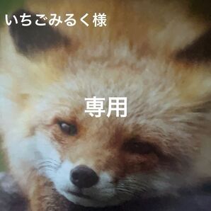花柄半袖Tシャツ 他2枚