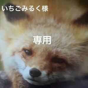 【専用出品】