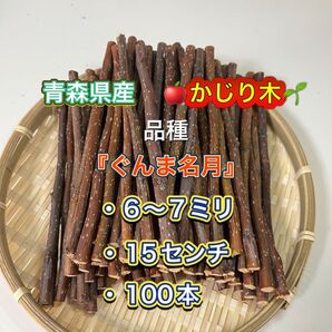 青森県産 りんごの木 かじり木 ぐんま名月100本