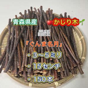 青森県産 かじり木 りんごの木 ぐんま名月150本