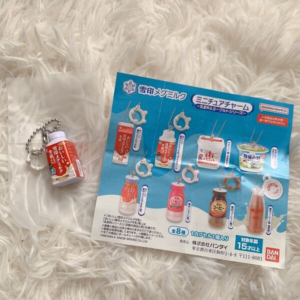 雪印メグミルク ミニチュアチャーム 乳飲料&ヨーグルトシリーズ