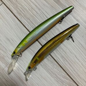 アユイングミノー