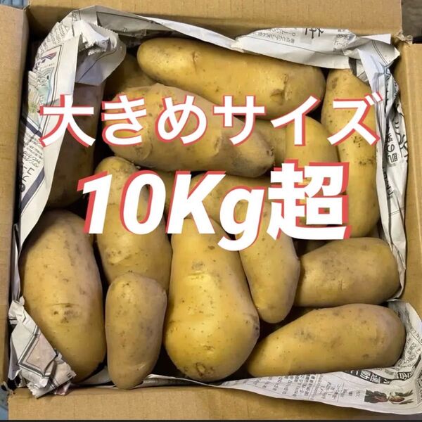 新じゃがいも メークイン 大きめ 10Kg超