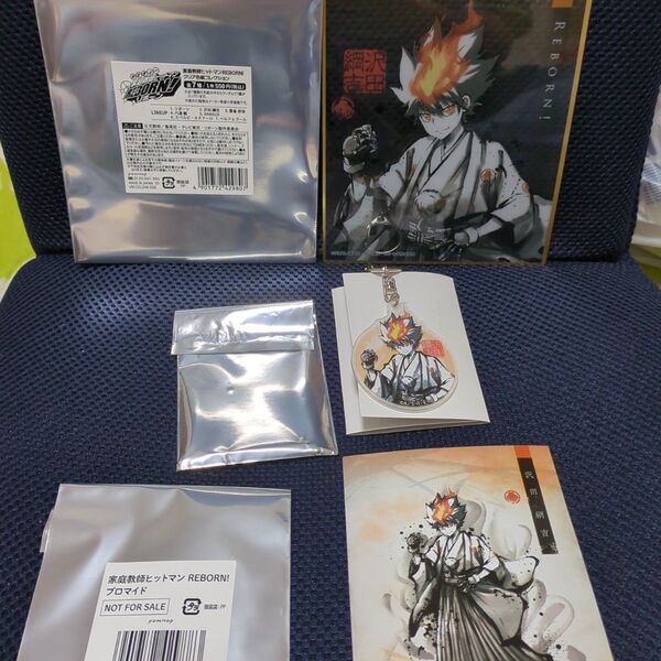 家庭教師ヒットマンREBORN! クリア色紙コレクション 和紙風キーホルダー 購入特典 ブロマイド 沢田綱吉 ツナ