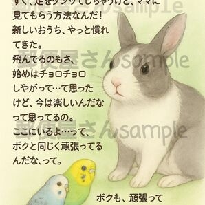 【オーダーメイド】ペットの気持ちをお手紙に【画像はsample】