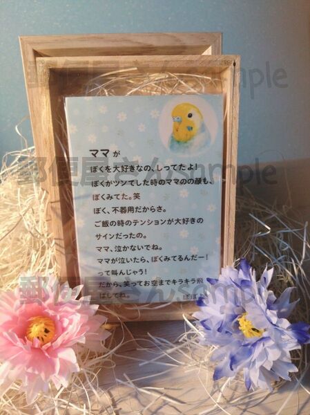 【オーダーメイド】ペットのお手紙/1つ用【画像はサンプル