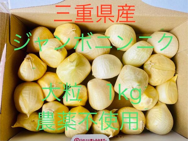 三重県産 ジャンボニンニク 1kg 大粒 農薬不使用