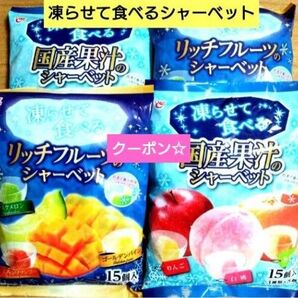 国産果汁 リッチフルーツ 凍らせて食べるシャーベット【15個入×4袋 合計60個】桃 メロン ★特価★おりがみ1枚