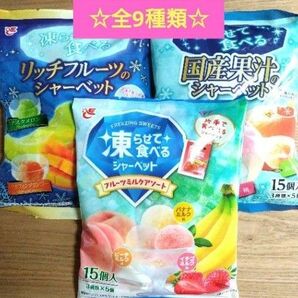 【未開封発送】☆全9種☆凍らせて食べるシャーベット【計3袋】アソート いちご マスクメロン マスカット ☆送料込み ☆クーポン⑥