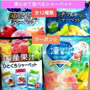 ☆全12種類☆凍らせて食べるシャーベット【4袋 合計57個】 ★特価★おりがみ1枚 ⑤