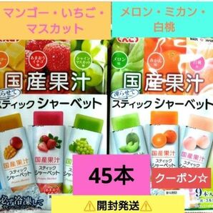 ☆国産果汁☆凍らせて食べるスティックシャーベット【5袋分・計45本】いちご・メロン ★特価★折り紙1枚