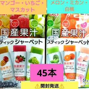 ☆国産果汁☆凍らせて食べるスティックシャーベット【5袋分・計45本】いちご・メロン ☆送料込み ☆クーポン利用⑧