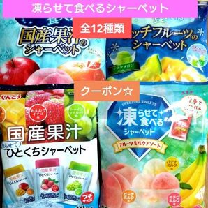 ☆全12種類☆凍らせて食べるシャーベット【4袋 合計57個】 ★特価★おりがみ1枚⑥