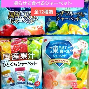 ☆全12種類☆凍らせて食べるシャーベット【4袋 合計57個】 ☆送料込み ☆クーポン