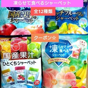 ☆全12種類☆凍らせて食べるシャーベット【4袋 合計57個】 ★特価★折り紙1枚②