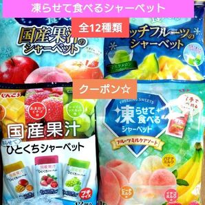 ☆全12種類☆凍らせて食べるシャーベット【4袋 合計57個】 ★特価★折り紙1枚⑤