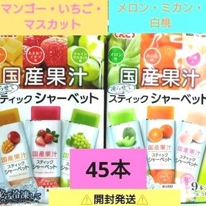 ☆国産果汁☆凍らせて食べるスティックシャーベット【5袋分・計45本】いちご・メロン ☆送料込み ☆クーポン利用⑦