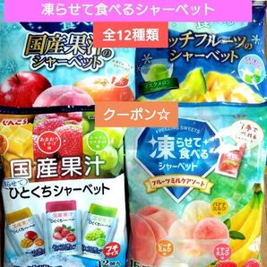 ☆全12種類☆凍らせて食べるシャーベット【4袋 合計57個】 ★特価★折り紙1枚⑥