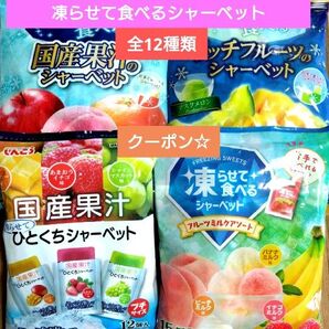 ☆全12種類☆凍らせて食べるシャーベット【4袋 合計57個】 ★特価★おりがみ1枚 ③