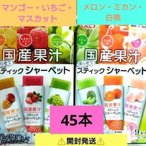 ☆国産果汁☆凍らせて食べるスティックシャーベット【5袋分・計45本】いちご・メロン ☆送料込み ☆クーポン利用⑥