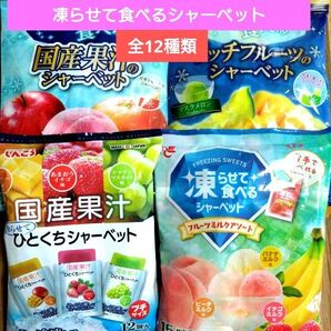 ☆全12種類☆凍らせて食べるシャーベット【4袋 合計57個】 ★特価★クーポン利用②