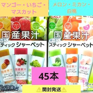 ☆国産果汁☆凍らせて食べるスティックシャーベット【5袋分・計45本】いちご・メロン ☆送料込み ☆クーポン利用⑤